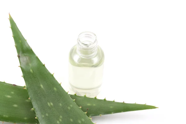 stock image bottle of cosmetic with fresh aloe vera isolated on white