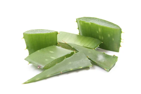 Aloe — Foto Stock