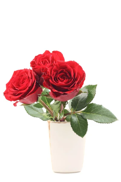 Tres Hermosas Rosas Rojas Aisladas Blanco — Foto de Stock