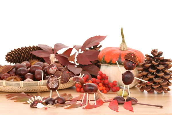大量秋季水果 橡子板栗和锥状细胞 — 图库照片