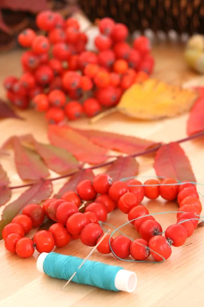 秋の装飾 — ストック写真