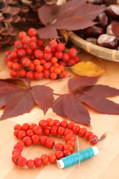 多くの秋の果実 灰ベリー コーン — ストック写真