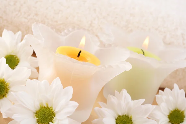 Kaarsen en bloemen — Stockfoto