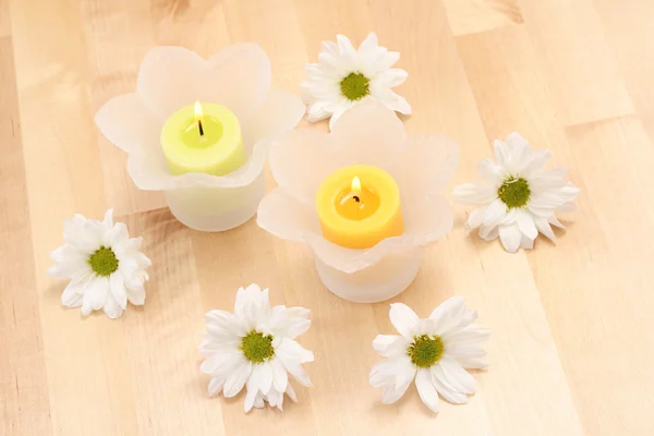 Свічки Ромашкові Квіти Лікування Краси — стокове фото