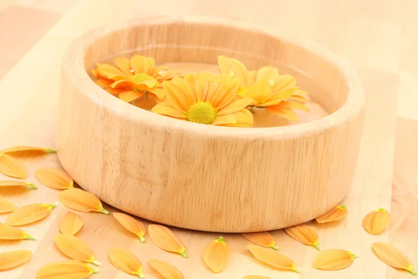 Bowl Water Floating Daisy Flowers — Stock Photo, Image