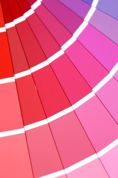 Close Ups Color Guide Pink Dominate — Stock Photo, Image
