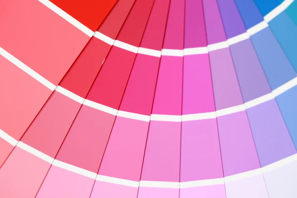 Los Primeros Planos Guía Color Con Rosa Dominan —  Fotos de Stock