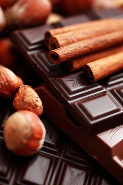Čokoláda s lískové ořechy a skořicí — Stock fotografie