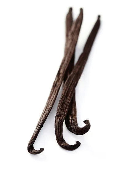 Vanilya fasulye — Stok fotoğraf