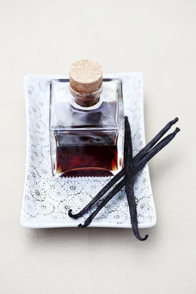 Vanilla essential oil — Stock Photo, Image
