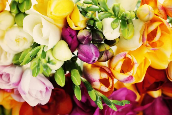 Pozadí Krásné Frézie Květiny Květiny Rostliny — Stock fotografie