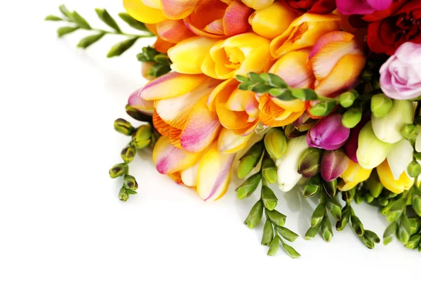 Strauß Schöne Freesia Auf Weißem Hintergrund Blumen Und Pflanzen — Stockfoto