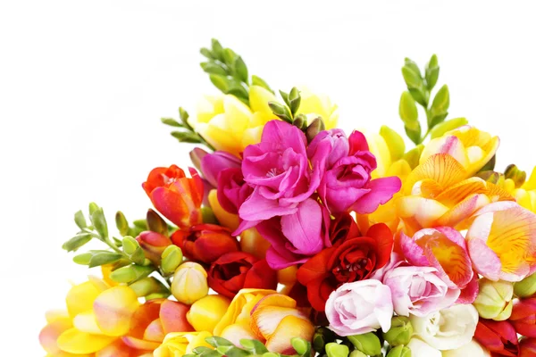 花や植物の白の背景に素敵なフリージアの束 — ストック写真