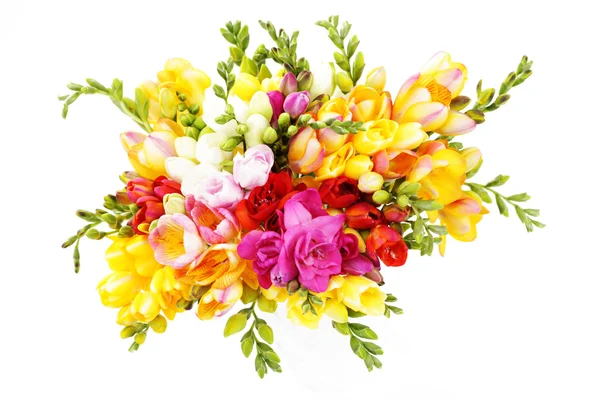 Parta Krásných Frézie Bílém Pozadí Květiny Rostliny — Stock fotografie