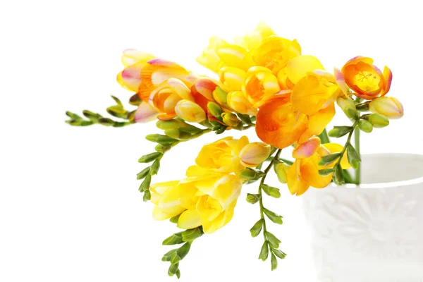 Bunch Lovely Freesia White Background Flowers Plants — Stock Photo, Image