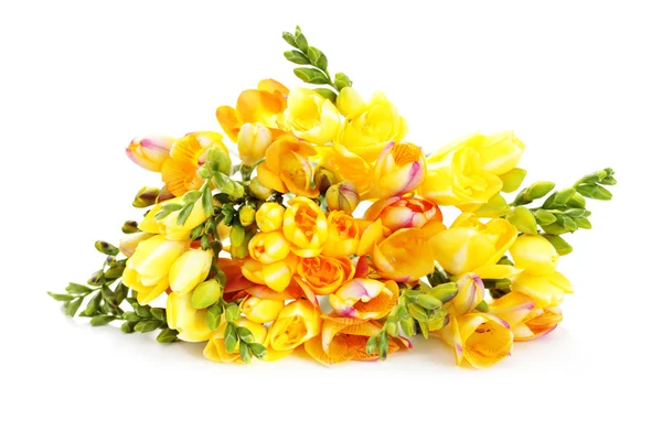 Parta Krásných Frézie Bílém Pozadí Květiny Rostliny — Stock fotografie