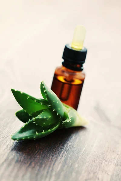 Ätherisches Öl der Aloe vera — Stockfoto