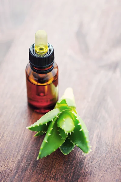 Aloe vera esenciální olej — Stock fotografie