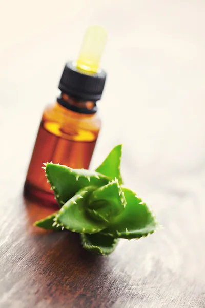 Ätherisches Öl der Aloe vera — Stockfoto