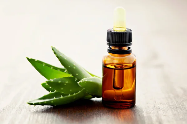 Aloe vera essential oil — Stock Photo, Image