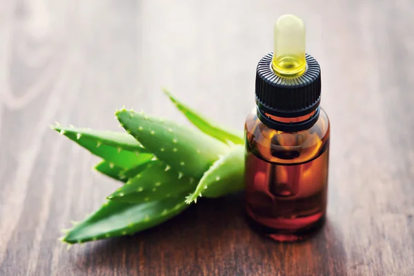 Óleo essencial de Aloe vera — Fotografia de Stock