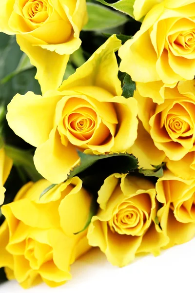 노란 장미 — 스톡 사진