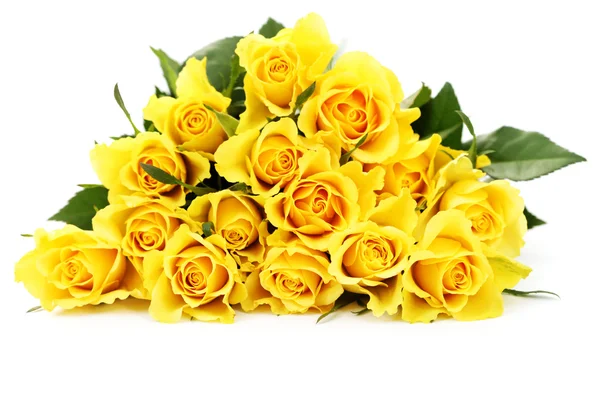 Rosas amarillas — Foto de Stock