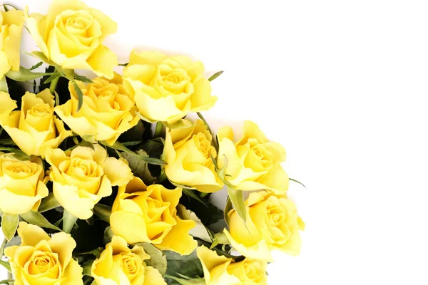 Sarı güller — Stok fotoğraf
