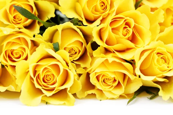 Rose jaune images libres de droit, photos de Rose jaune | Depositphotos