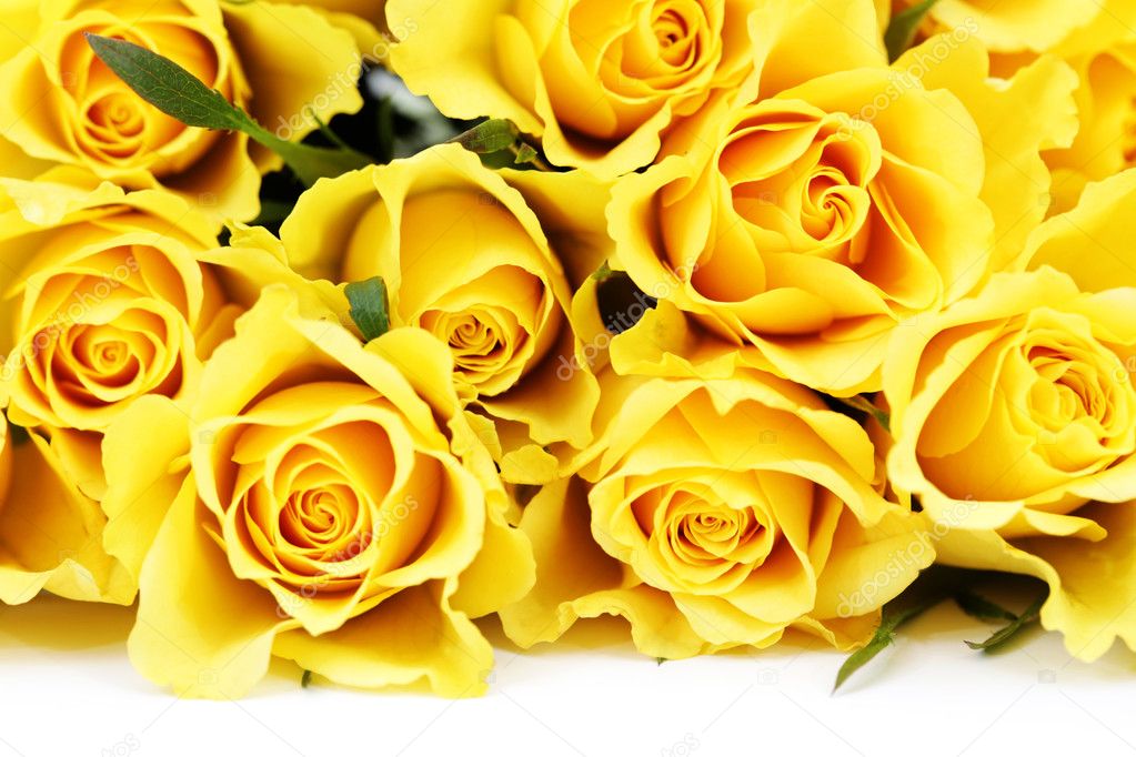 Rosas amarillas fotos de stock, imágenes de Rosas amarillas sin royalties |  Depositphotos