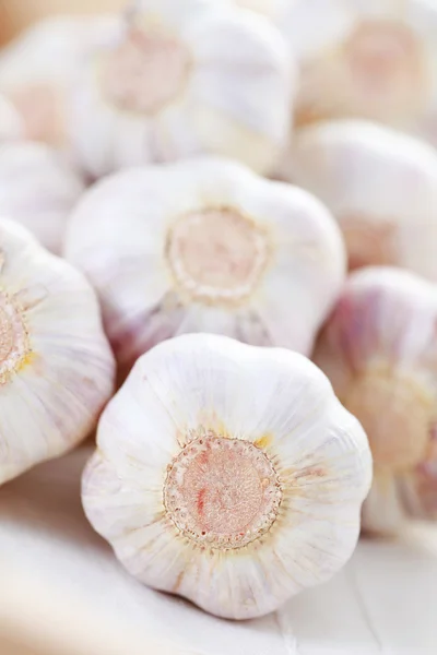 stock image Garlic