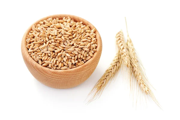 stock image Bowl of wheat