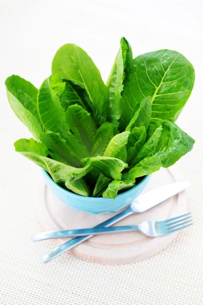 Bowl of lettuce — Stock Photo, Image