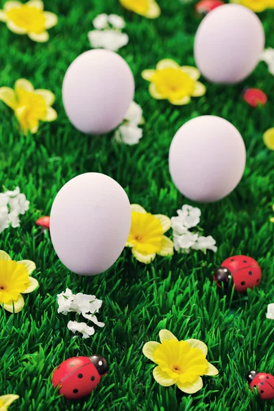 Paskalya yumurtaları yeşil — Stok fotoğraf