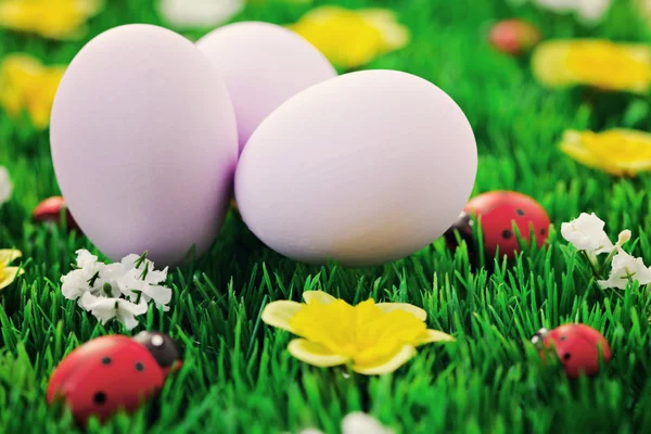 Пасхальные яйца в зеленом — стоковое фото