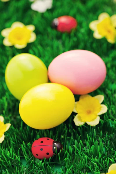 Huevos de Pascua en verde — Foto de Stock