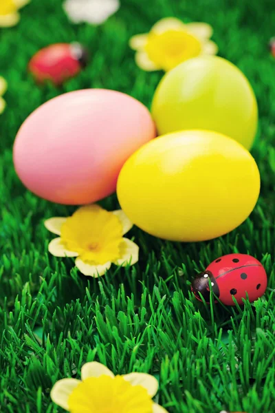 Paskalya yumurtaları yeşil — Stok fotoğraf