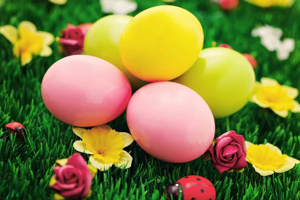 Easter eggs in green — Stock Photo, Image