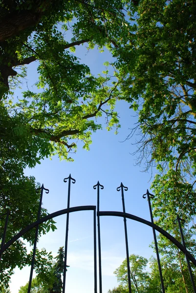Iron gate — Stok fotoğraf