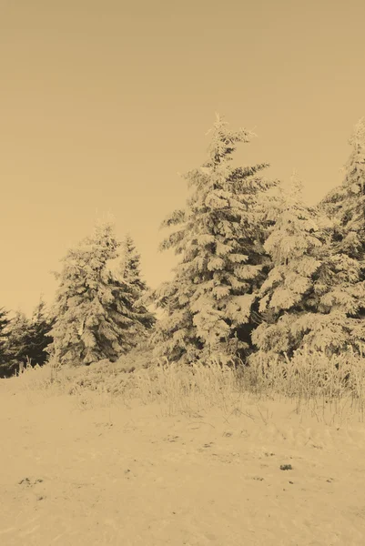 Χειμωνιάτικο σκηνικό — Φωτογραφία Αρχείου