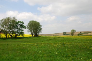 Tarım peyzaj