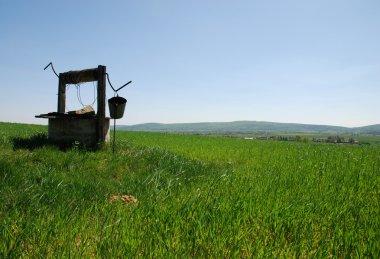 Çok güzel.