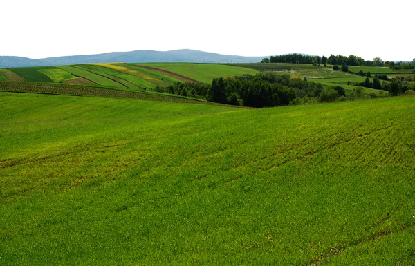 農業景観 — ストック写真
