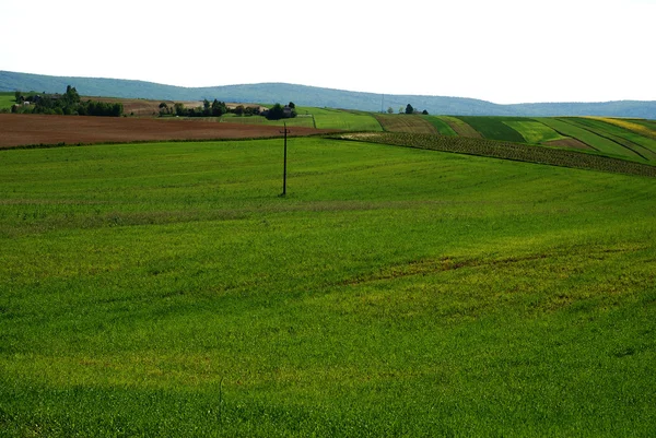 Agrarlandschaft — Stockfoto
