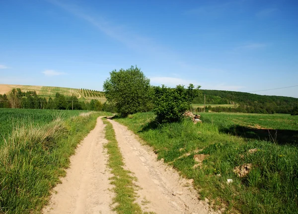 Country road — Stock Photo, Image