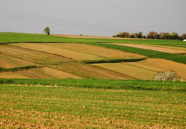 Tarım peyzaj