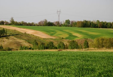 Tarım peyzaj