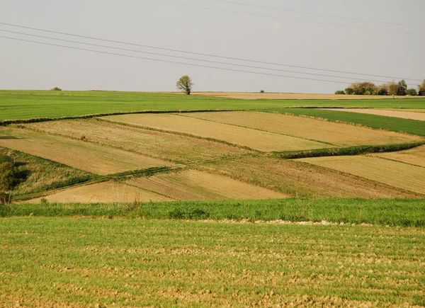 Zemědělská krajina — Stock fotografie