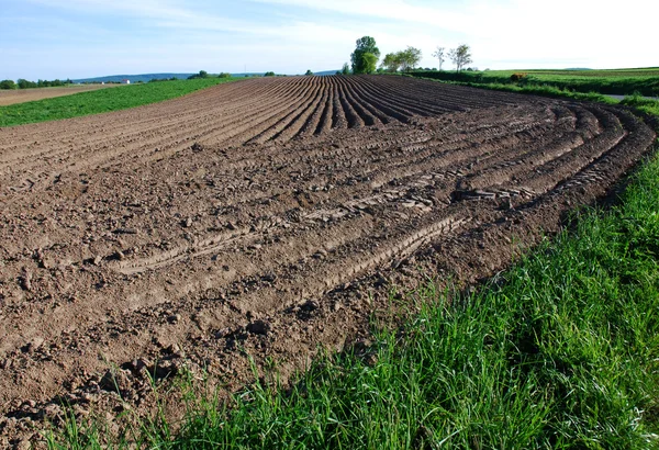 Agricultural landscape — Stock Photo, Image