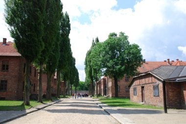 Auschwitz-birkenau toplama kampı